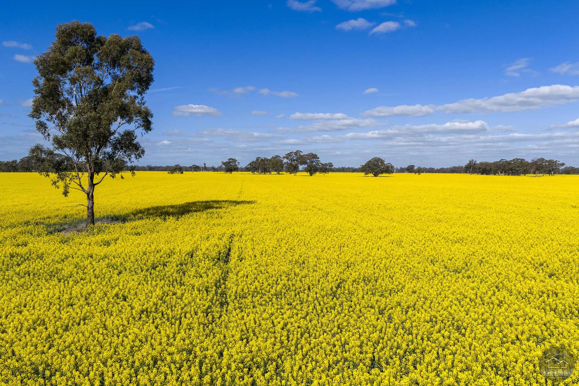 445 Kellys Road, Numurkah For Sale by Farmbuy.com - image 4
