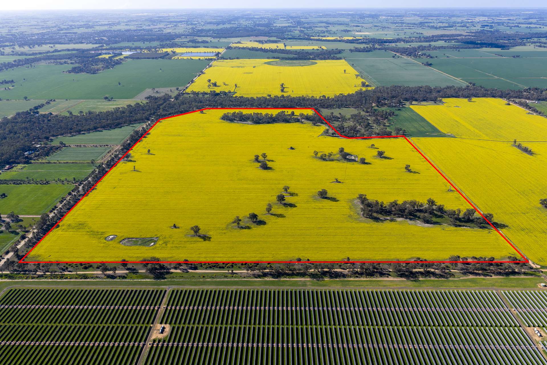 445 Kellys Road, Numurkah For Sale by Farmbuy.com - image 6