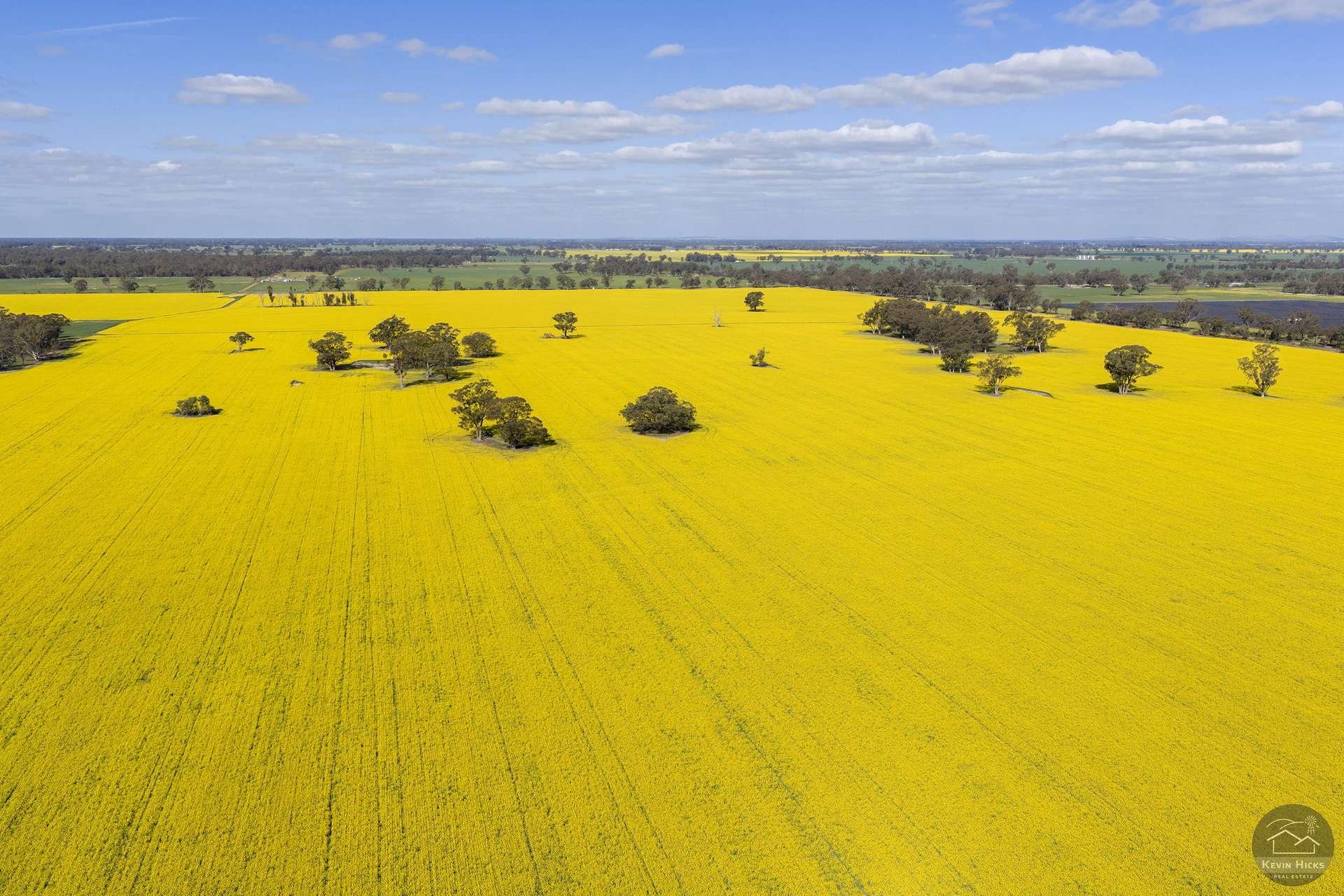 445 Kellys Road, Numurkah For Sale by Farmbuy.com - image 2