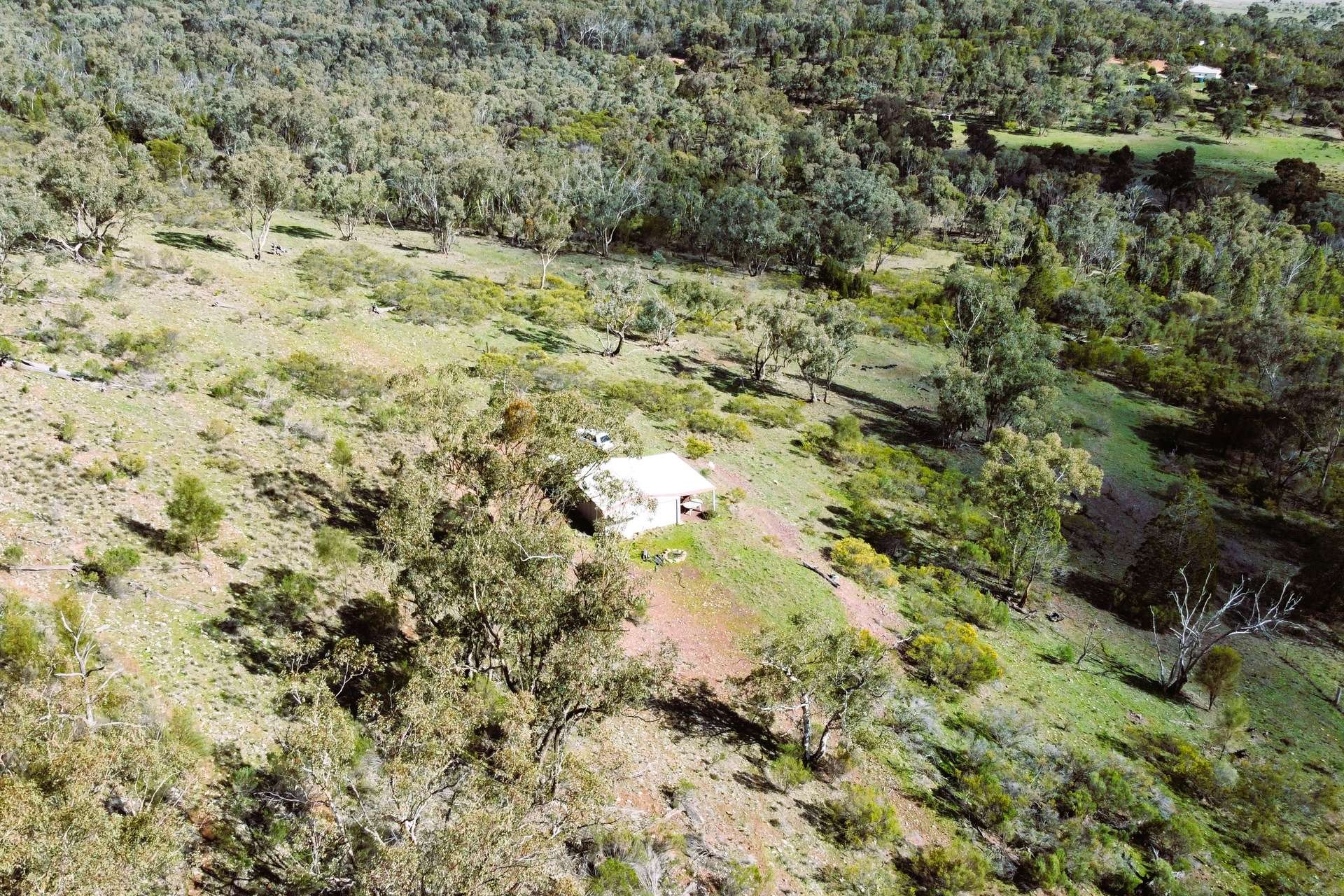 Lot 6 Binda Road, Gooloogong Sold by Farmbuy.com - image 1
