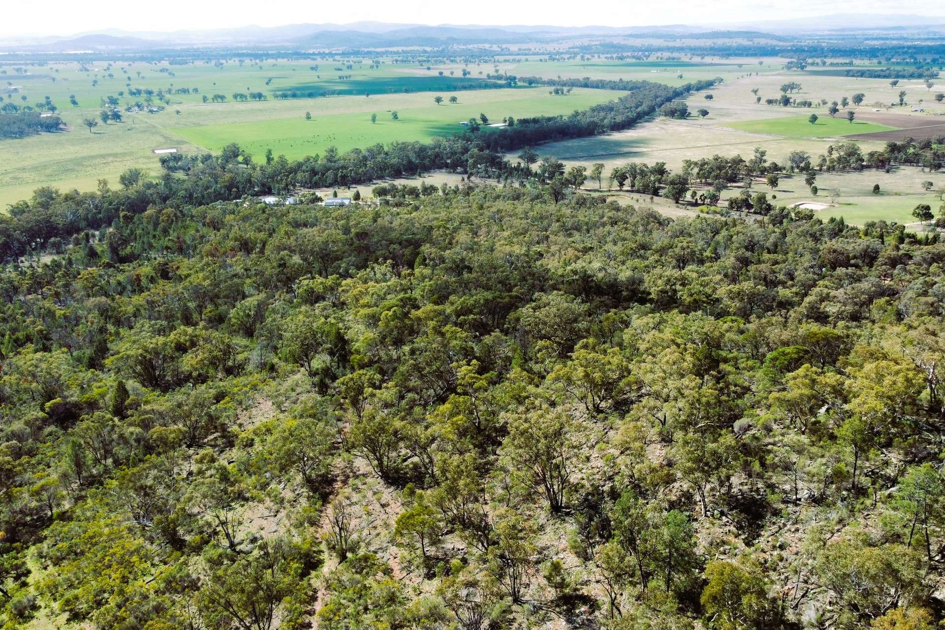 Lot 6 Binda Road, Gooloogong Sold by Farmbuy.com - image 7