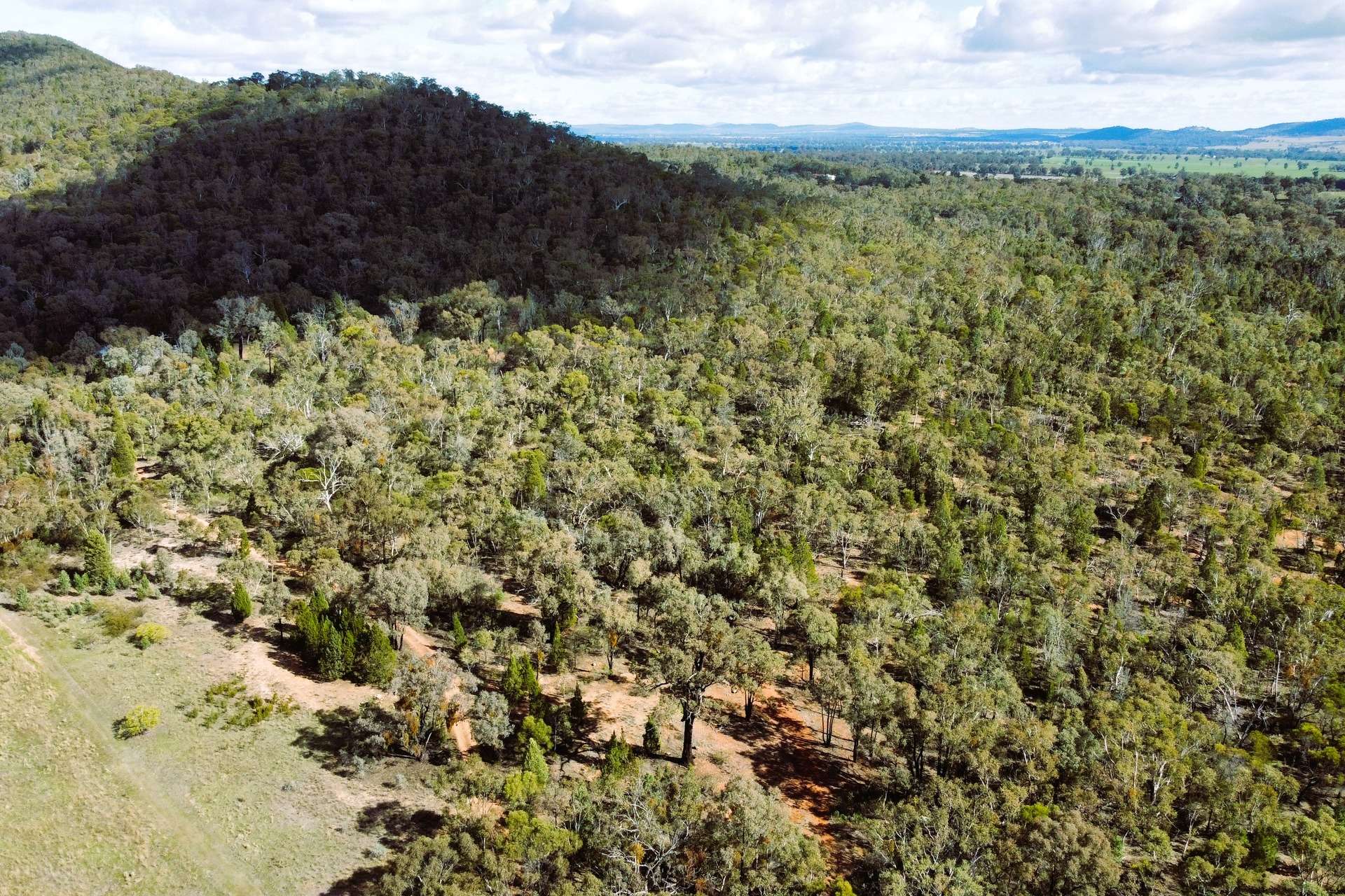 Lot 6 Binda Road, Gooloogong Sold by Farmbuy.com - image 8