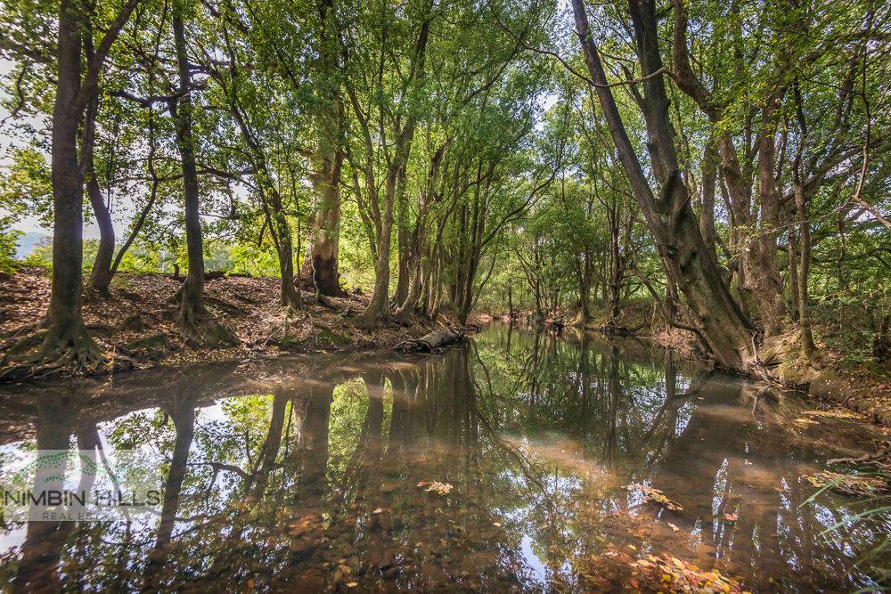 74 Tuntable Falls Road, Nimbin NSW 2480