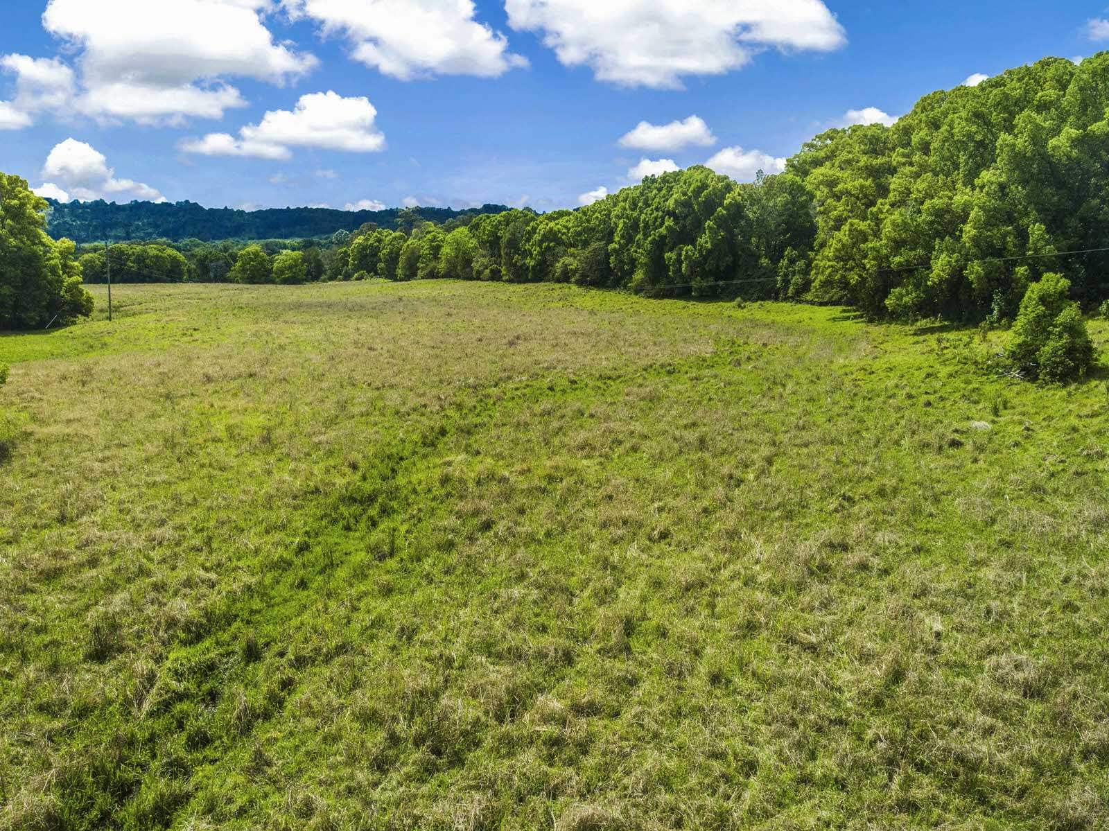 74 Tuntable Falls Road, Nimbin For Sale by Farmbuy.com - image 24