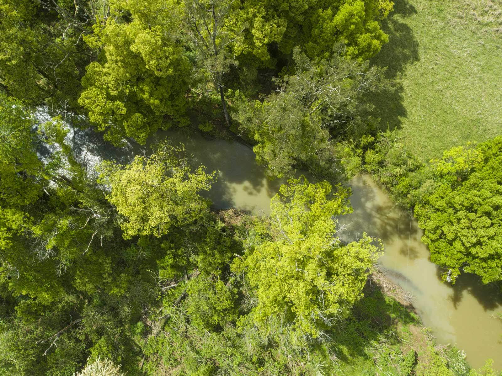 74 Tuntable Falls Road, Nimbin For Sale by Farmbuy.com - image 27