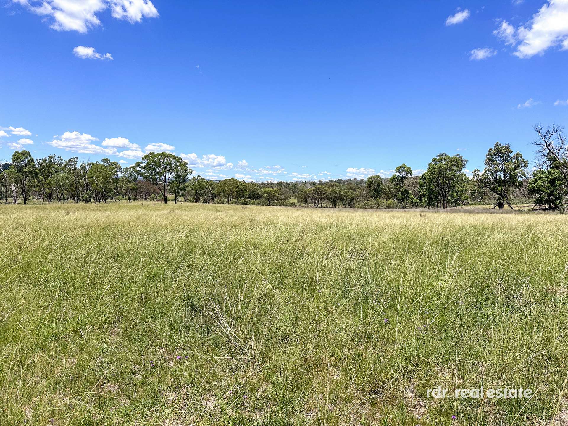 213 Mclachlans Ln, Inverell For Sale by Farmbuy.com - image 13