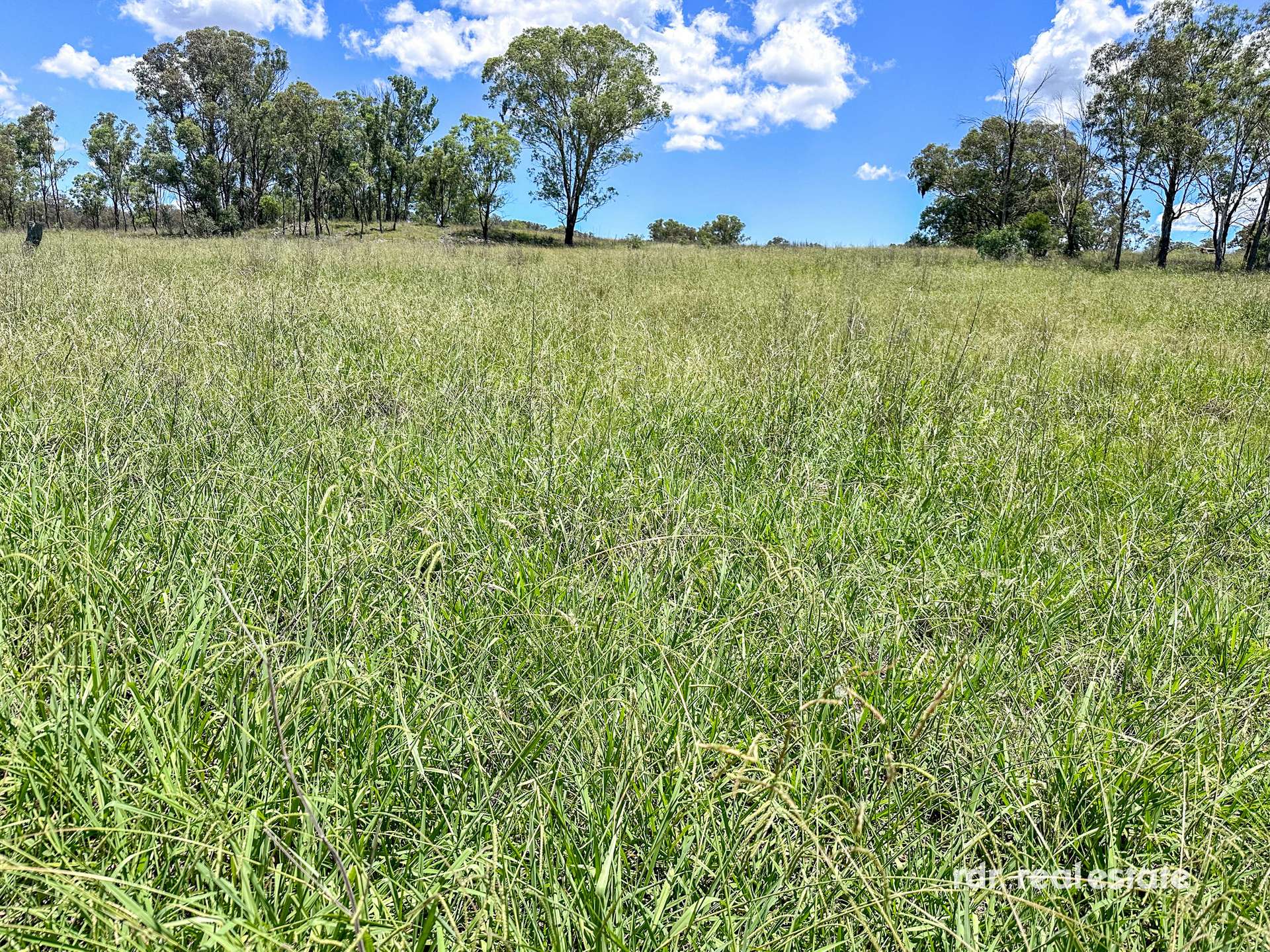 213 Mclachlans Ln, Inverell For Sale by Farmbuy.com - image 19