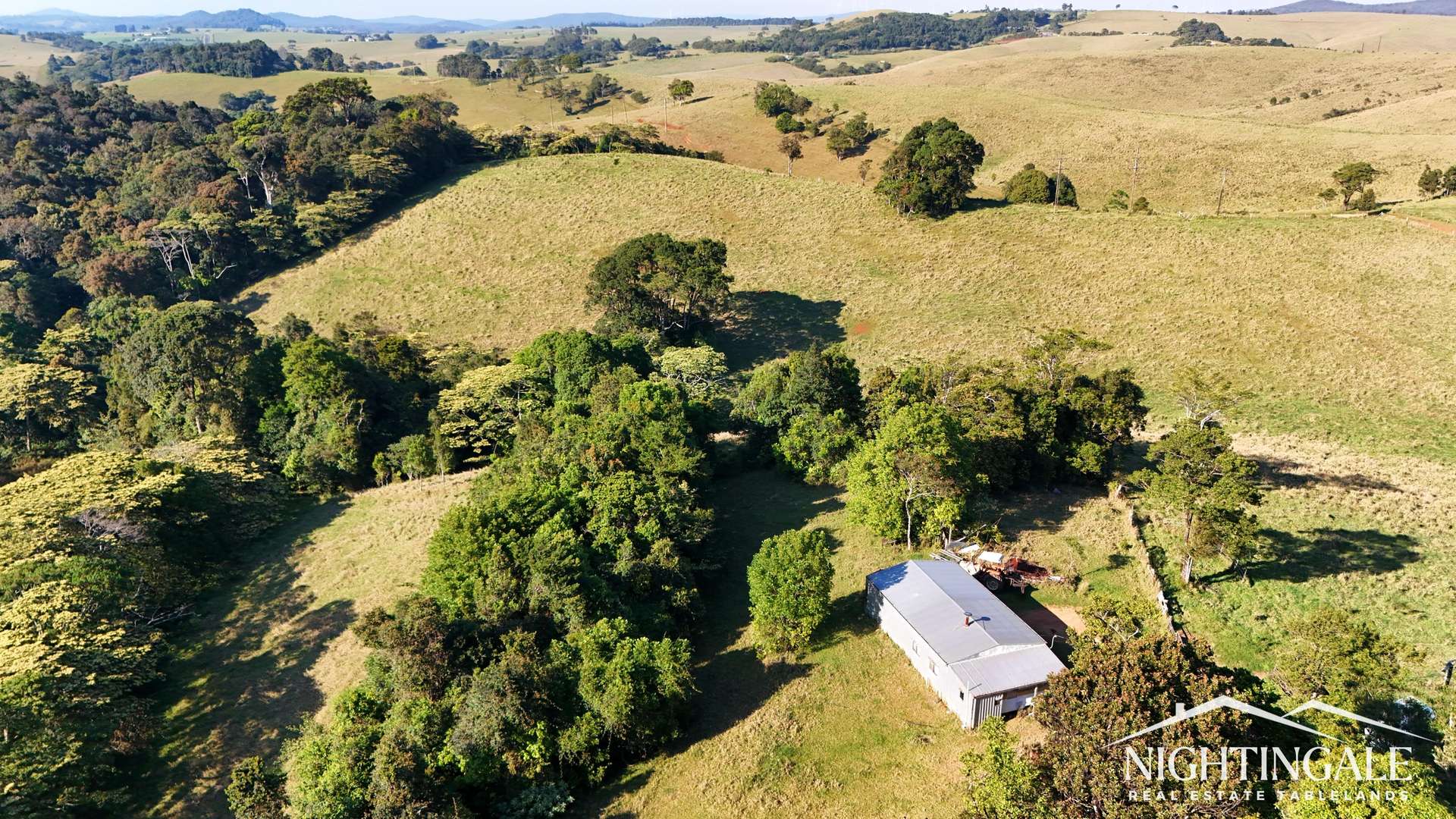 Evelyn For Sale by Farmbuy.com - image 3
