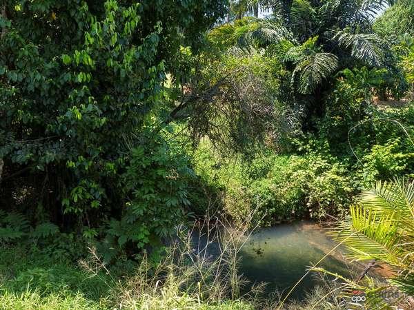 136 Menzies Road, Bartle Frere Sold by Farmbuy.com - image 3