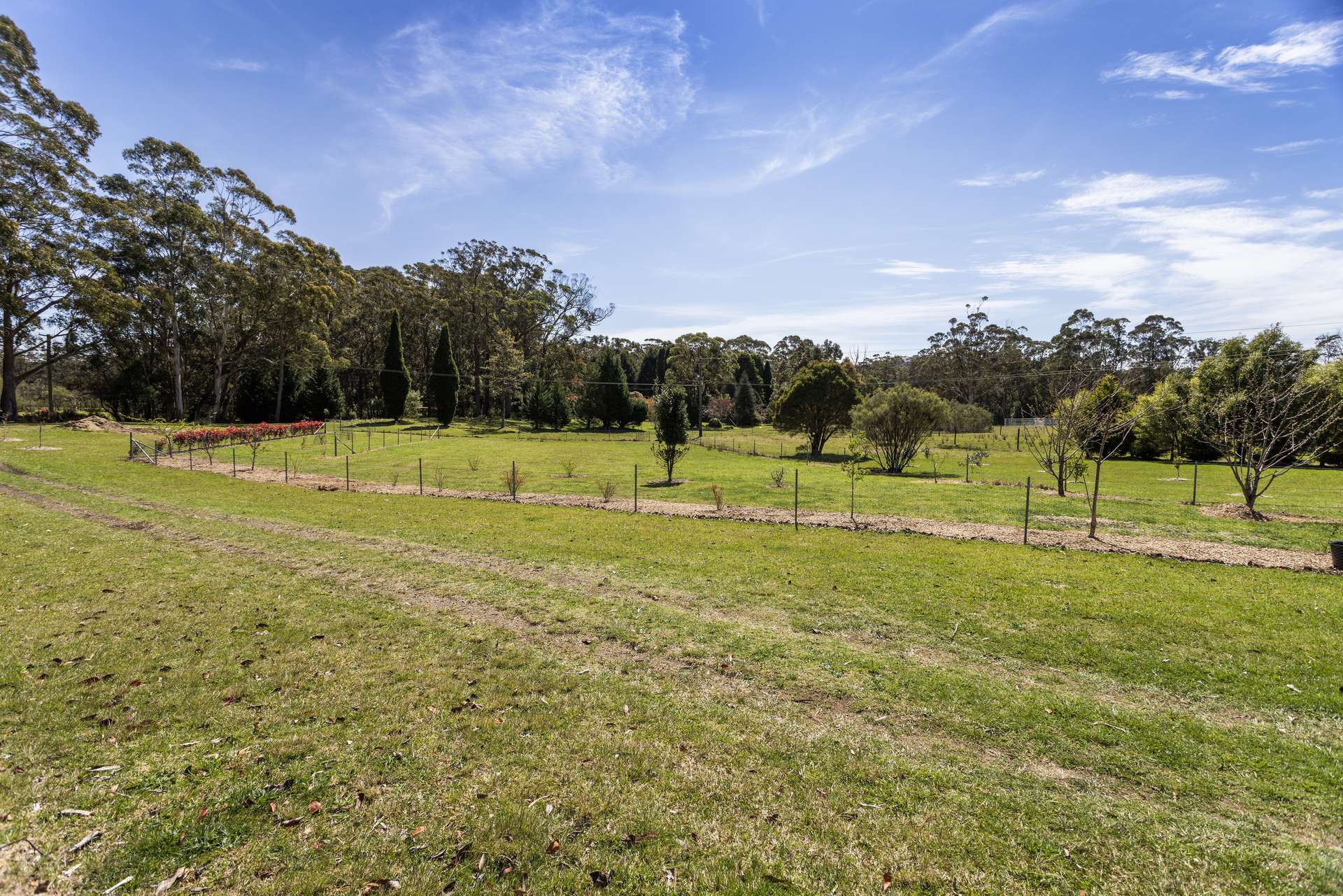 61 Wallaby Hill Road, Robertson Sold by Farmbuy.com - image 6