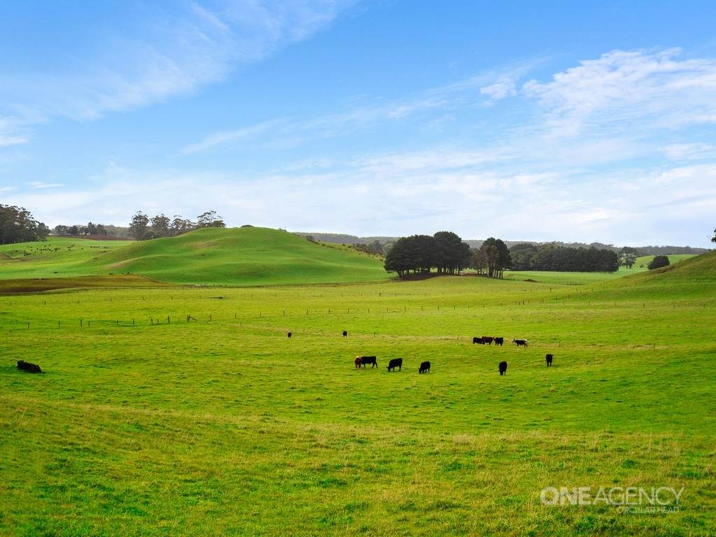 81 Kays Road, Irishtown For Sale by Farmbuy.com - image 30