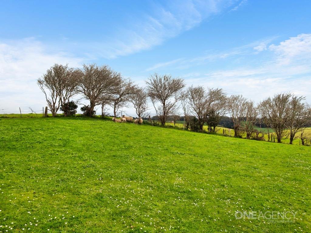 81 Kays Road, Irishtown For Sale by Farmbuy.com - image 31