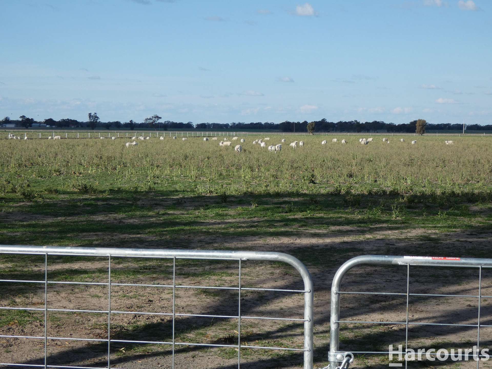 435 Old Hamilton Road, Haven For Sale by Farmbuy.com - image 8