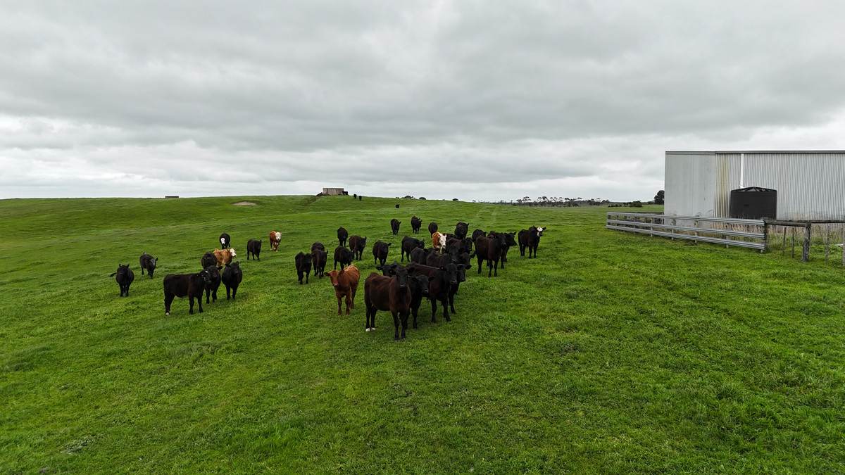 215 Cundare-Duverney Road, Cundare North For Sale by Farmbuy.com - image 8