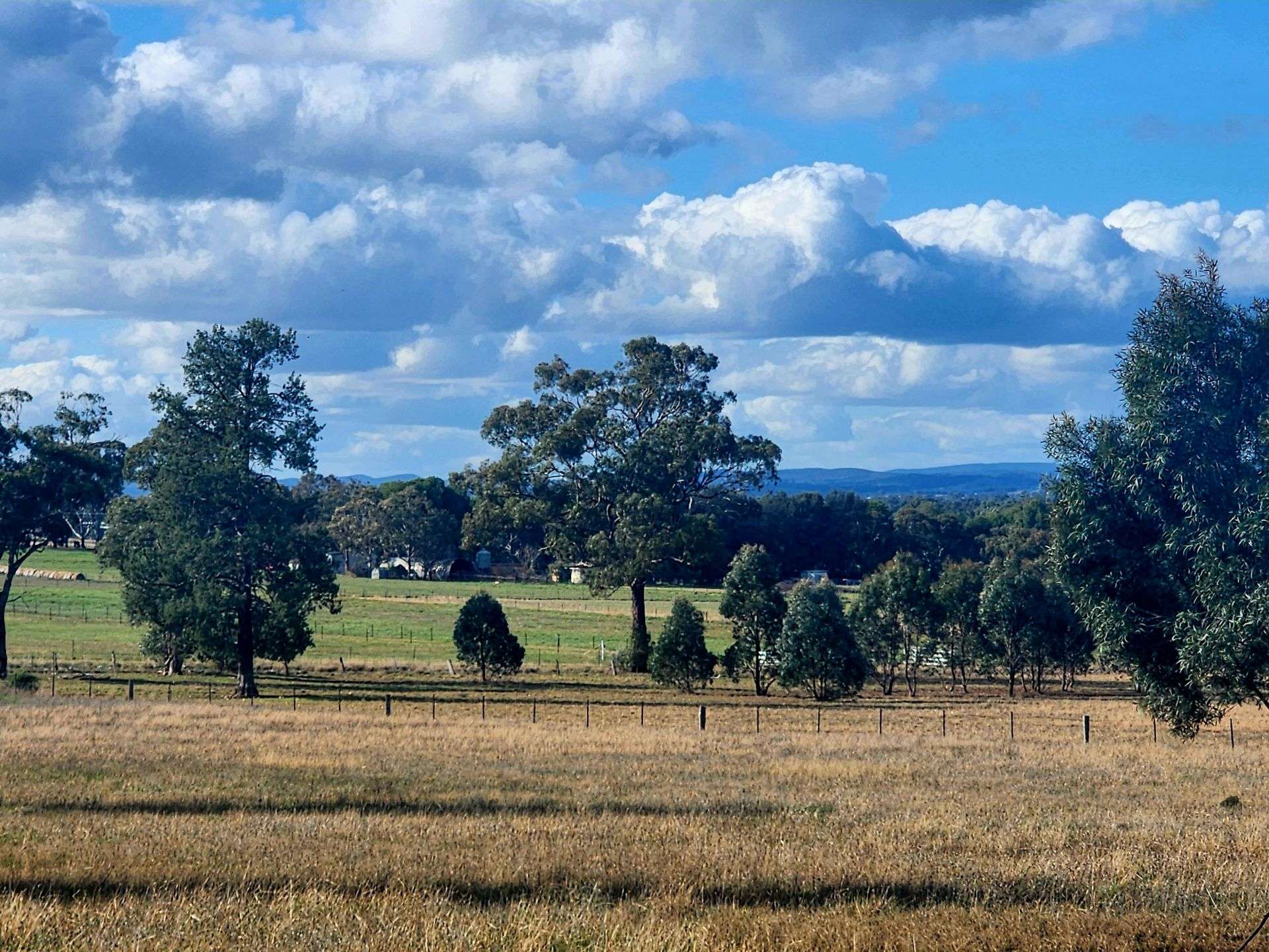 91 Aitken Lane, Parkes Sold by Farmbuy.com - image 3