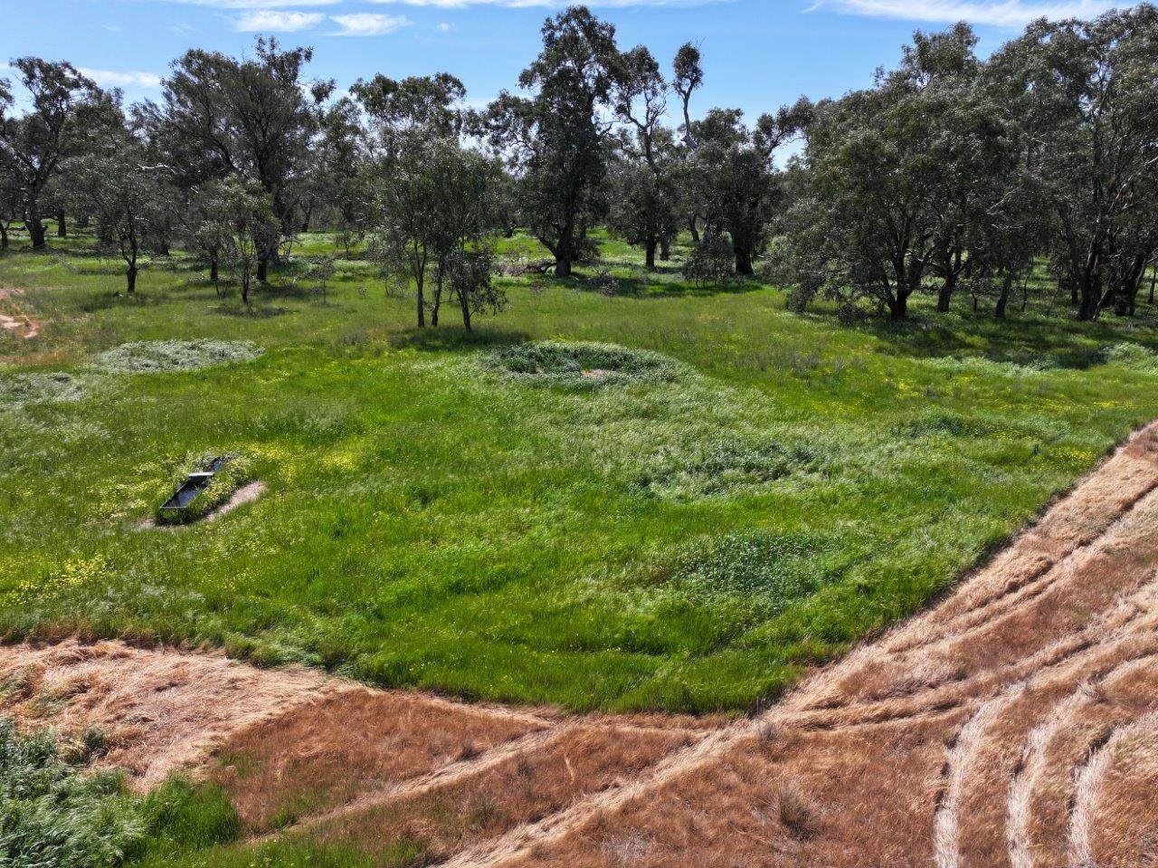 Lot 1 Coughlins Road, Hunter Sold by Farmbuy.com - image 7
