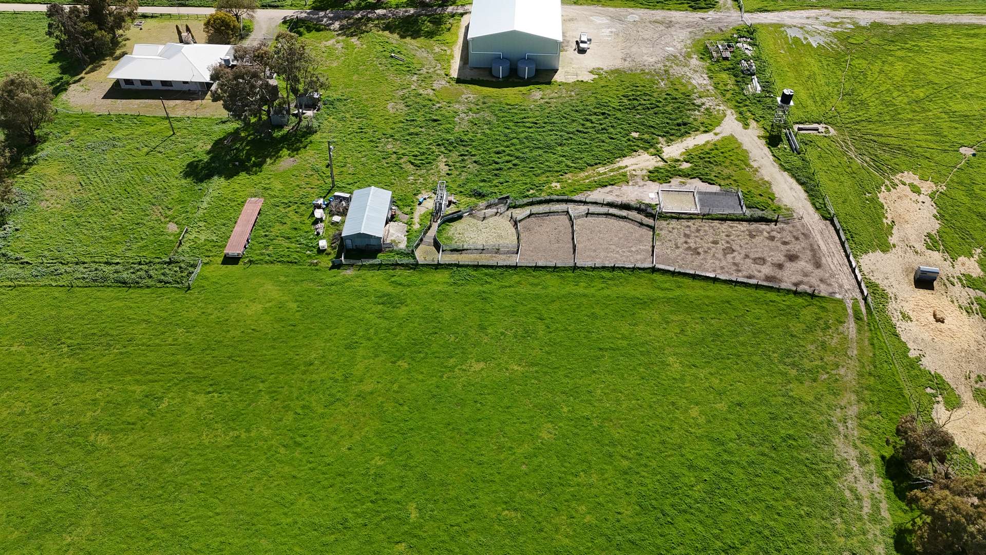 220 Downing Road, Mundulla West Sold by Farmbuy.com - image 6