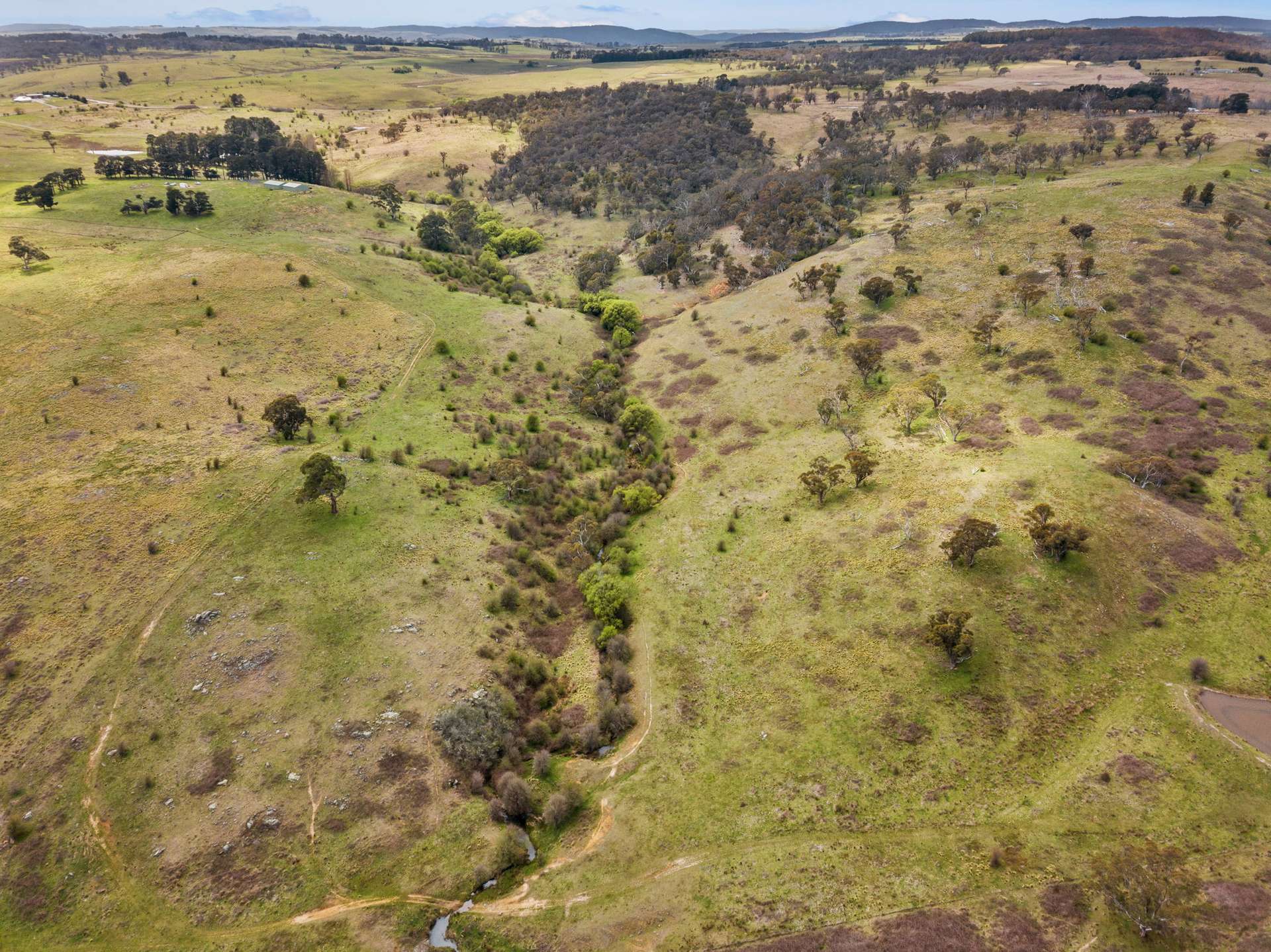55 Robbs Lane CHATSBURY VIA, Goulburn For Sale by Farmbuy.com - image 10