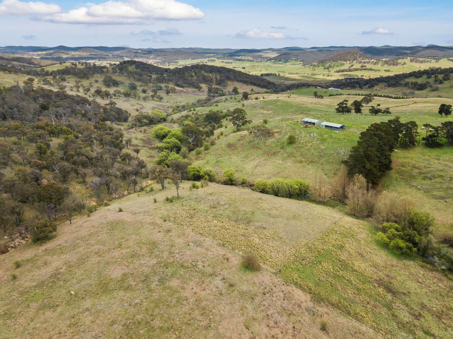 55 Robbs Lane CHATSBURY VIA, Goulburn For Sale by Farmbuy.com - image 7