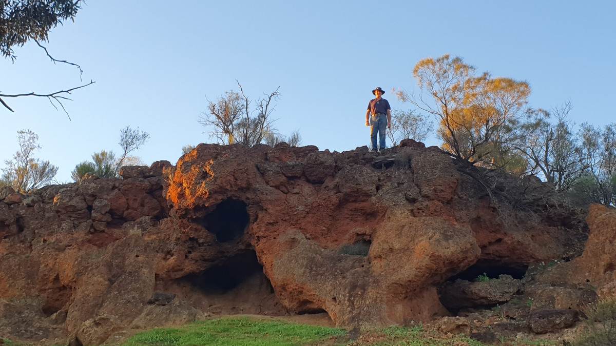 1879 Butler Road, Perenjori Sold by Farmbuy.com - image 3