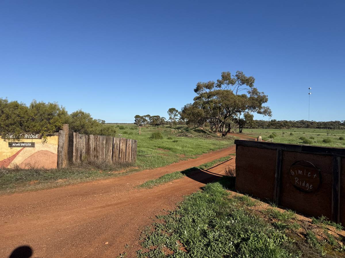 1879 Butler Road, Perenjori Sold by Farmbuy.com - image 1