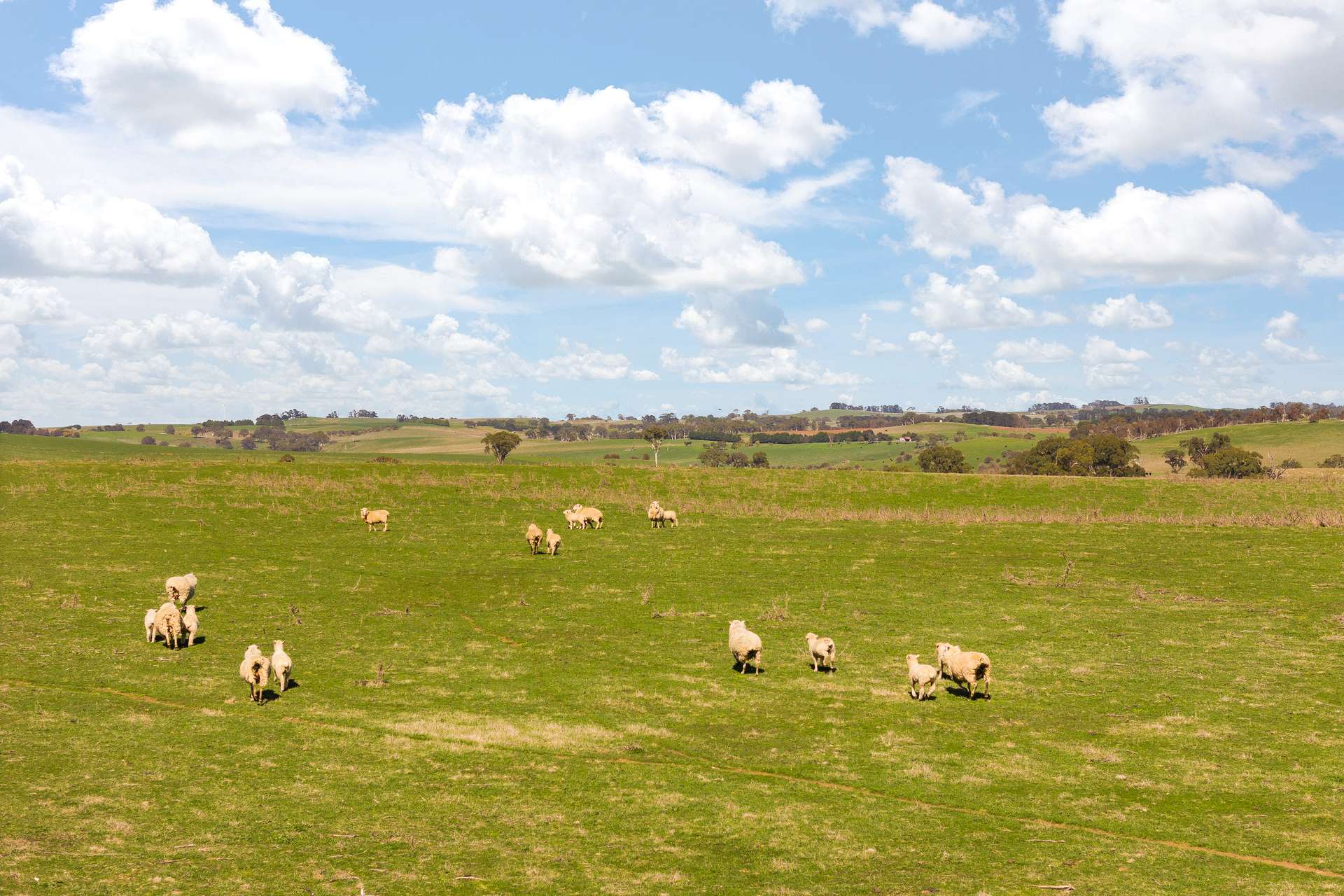 Millthorpe For Sale by Farmbuy.com - image 14