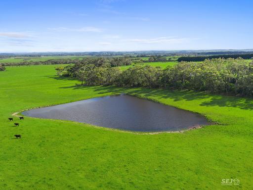 Farm Sold - VIC - Buffalo - 3958 - 'Buffalo Pastoral' 
