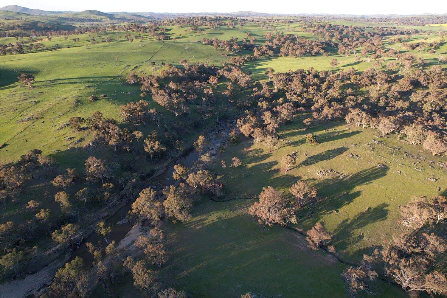 0 Glengarry Road, Binalong For Sale by Farmbuy.com - image 5