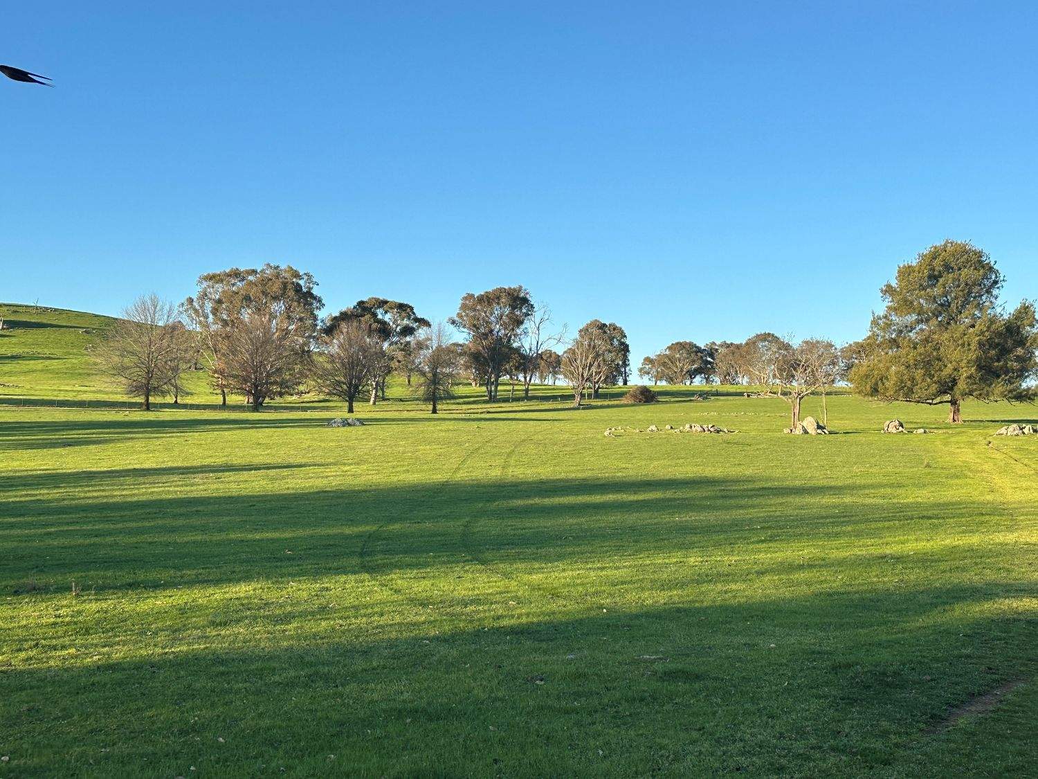 0 Glengarry Road, Binalong For Sale by Farmbuy.com - image 6