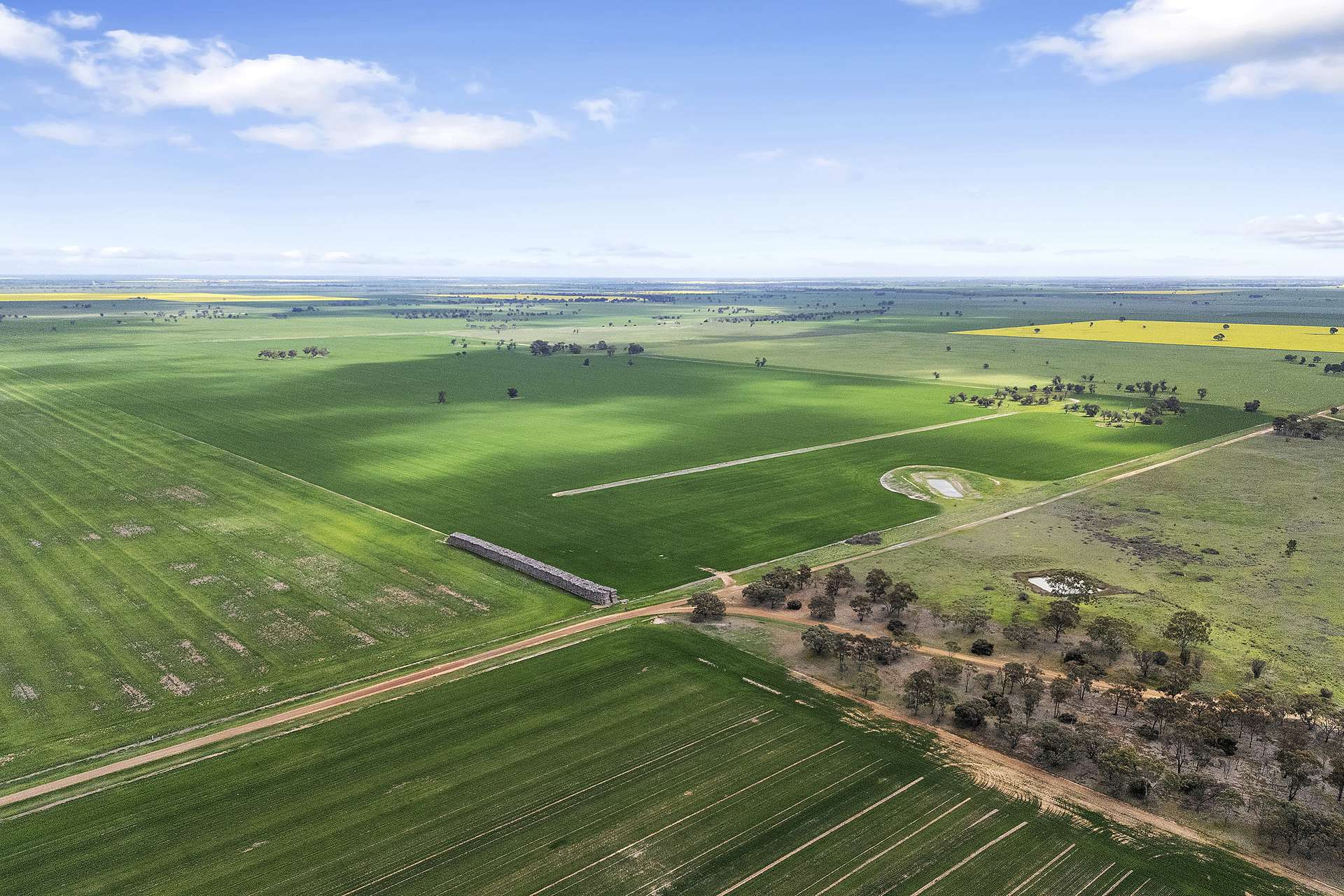 Rich Avon West For Sale by Farmbuy.com - image 10