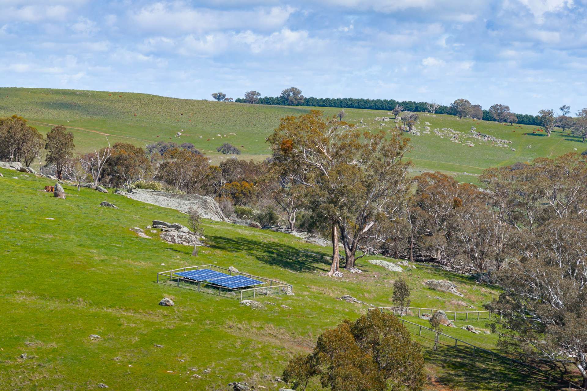 1533 Woodville Road, Crookwell Sold by Farmbuy.com - image 30