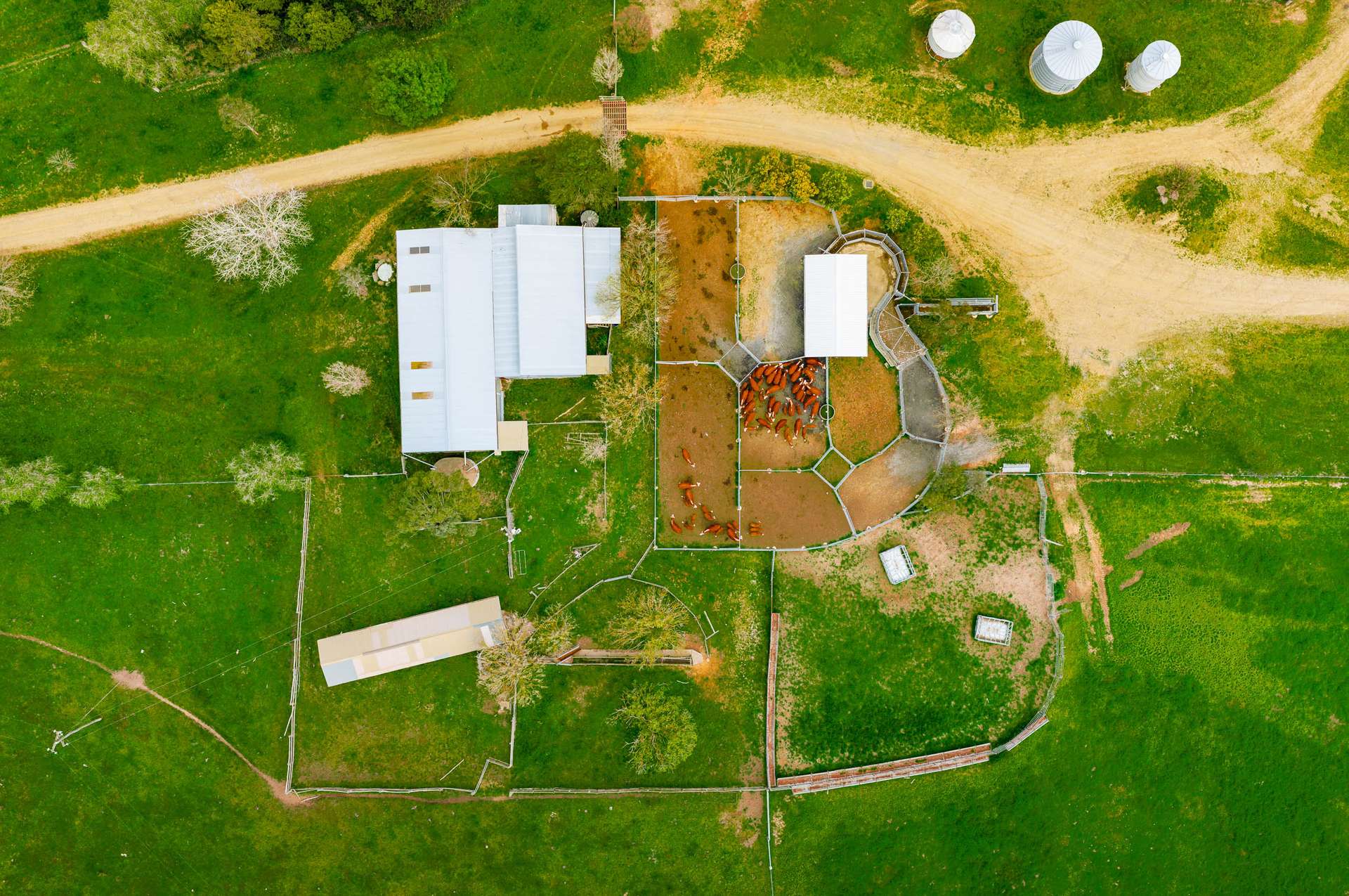 1533 Woodville Road, Crookwell Sold by Farmbuy.com - image 19
