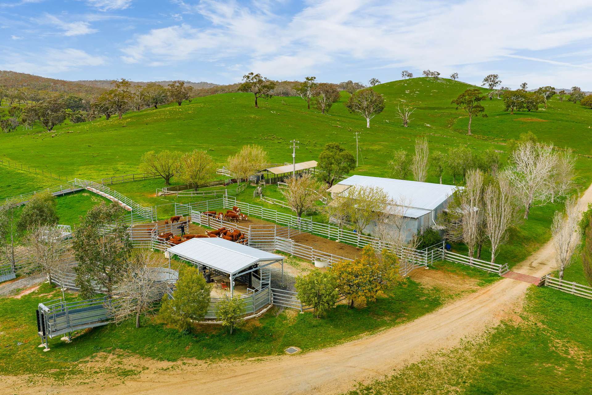 1533 Woodville Road, Crookwell Sold by Farmbuy.com - image 17