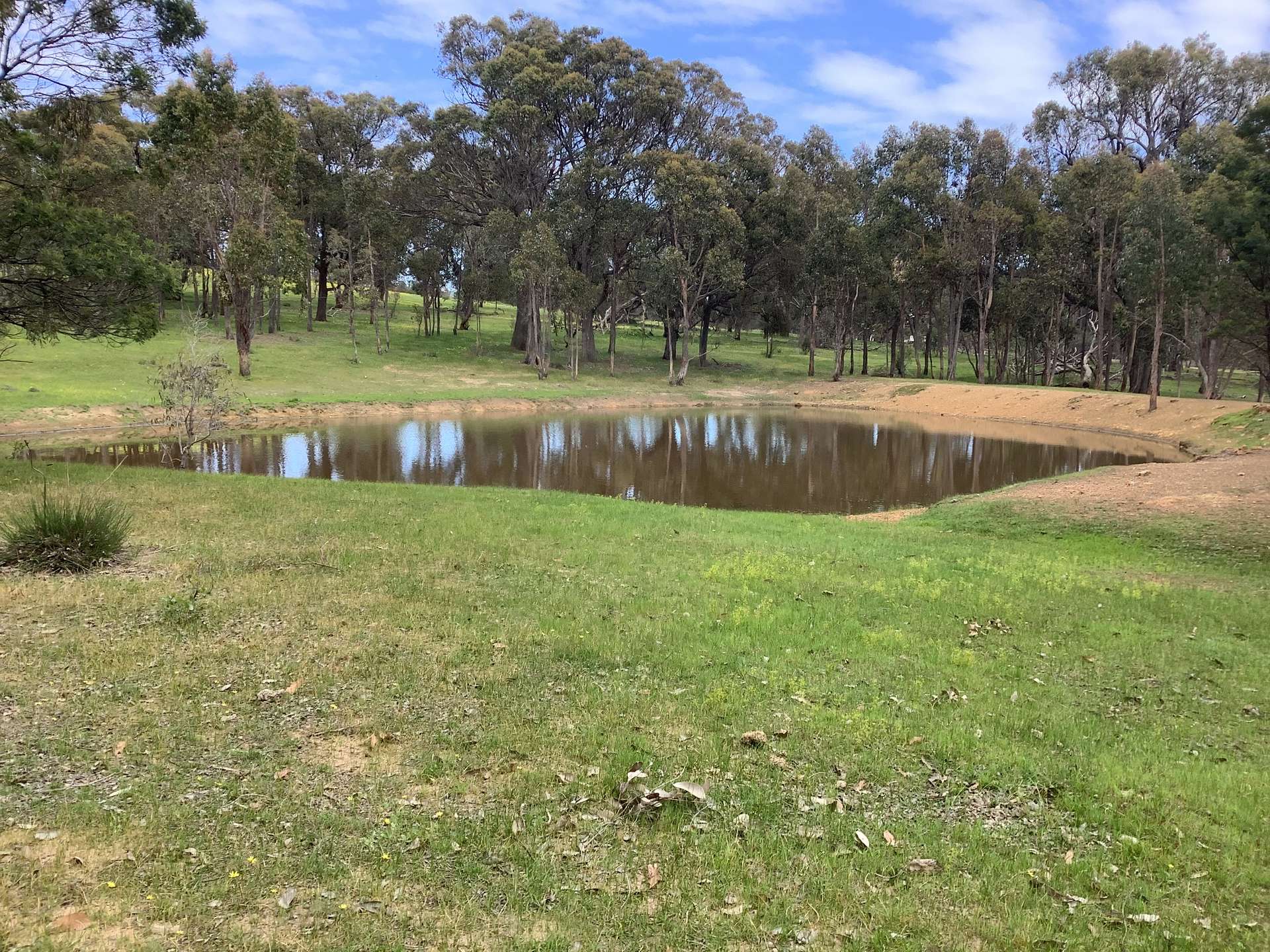 90 Chetwynd Road, Whiteheads Creek For Sale by Farmbuy.com - image 3