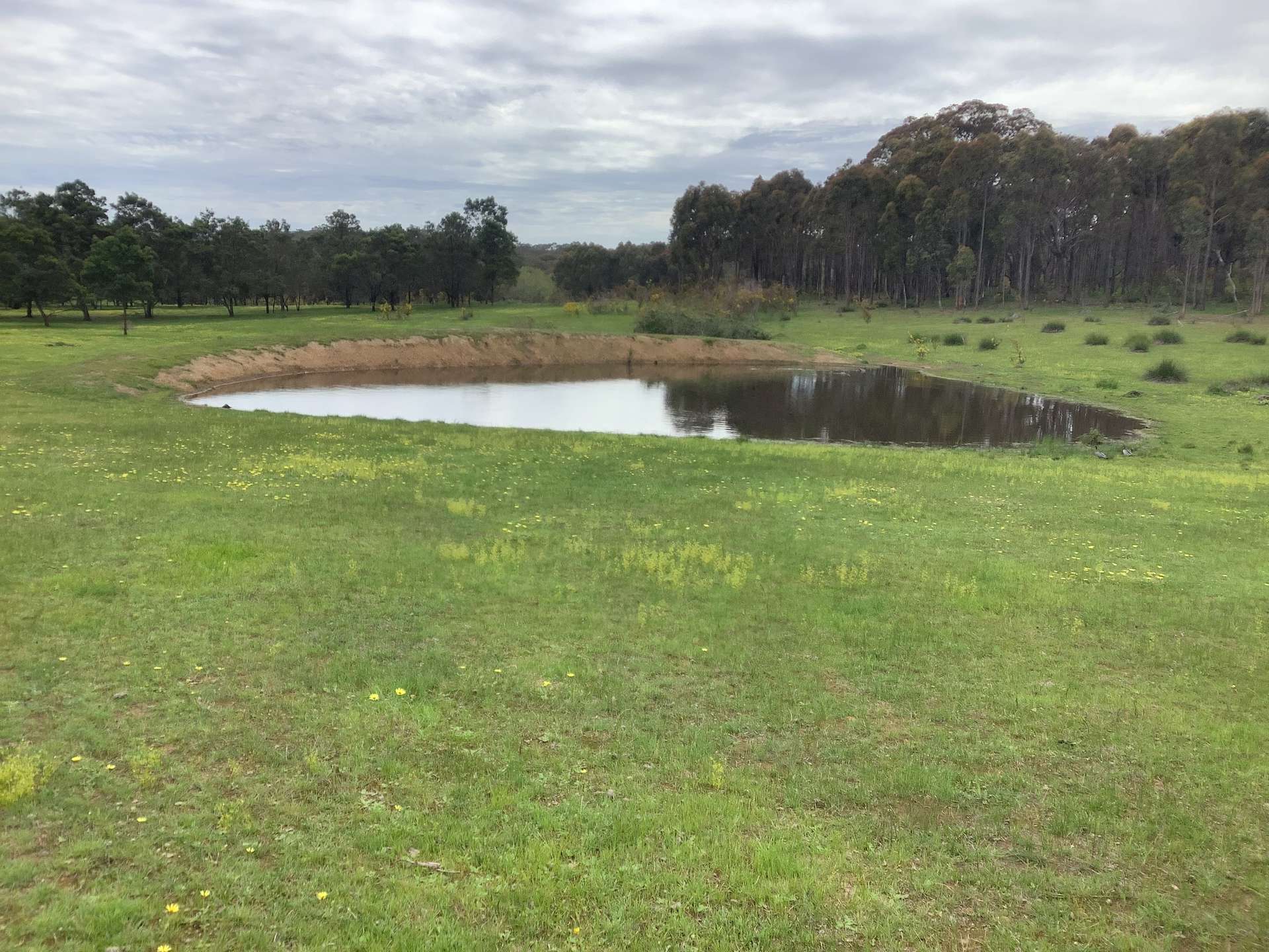 90 Chetwynd Road, Whiteheads Creek For Sale by Farmbuy.com - image 1