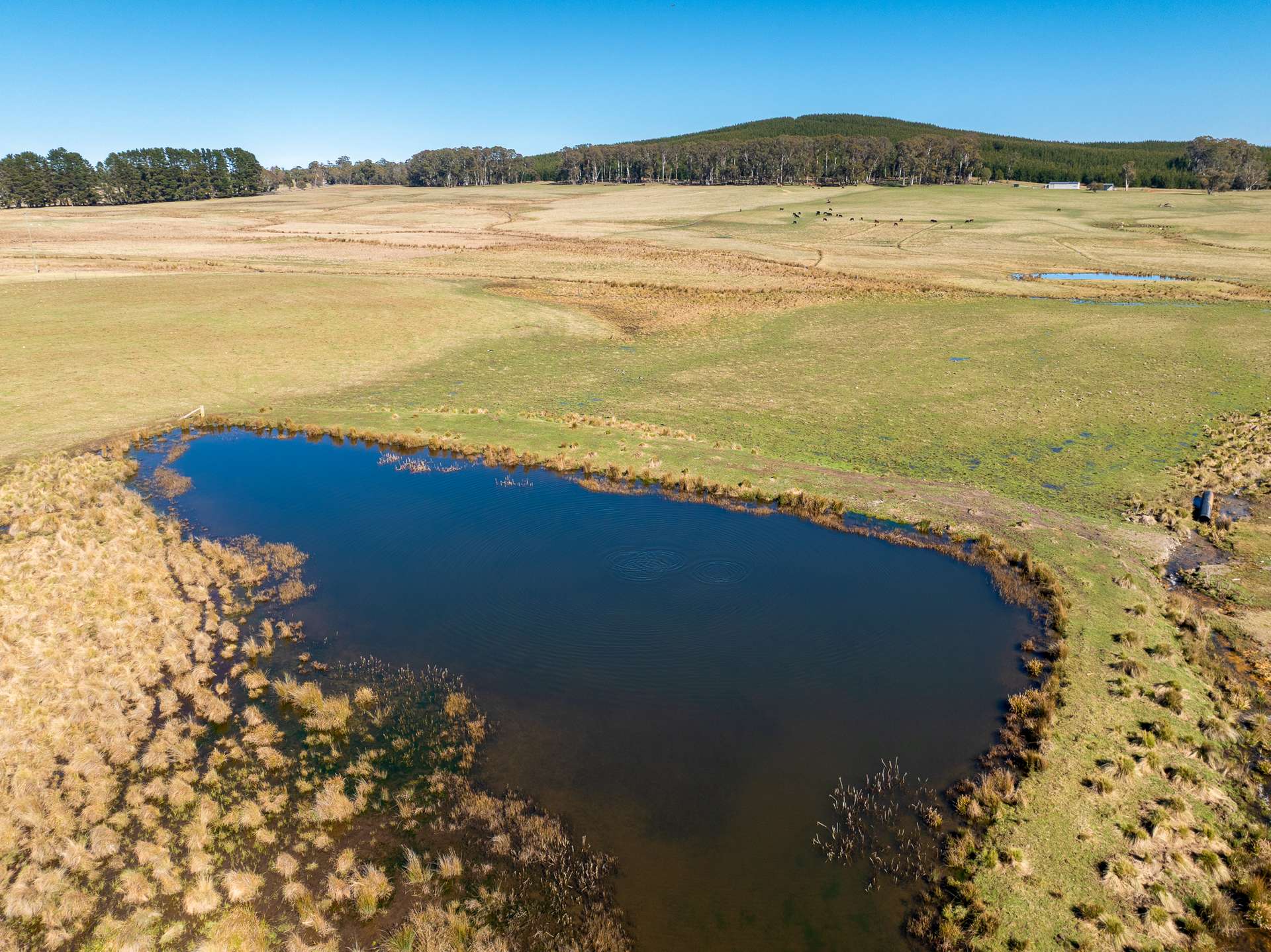 395 Gingkin Valley Road, Oberon Sold by Farmbuy.com - image 18