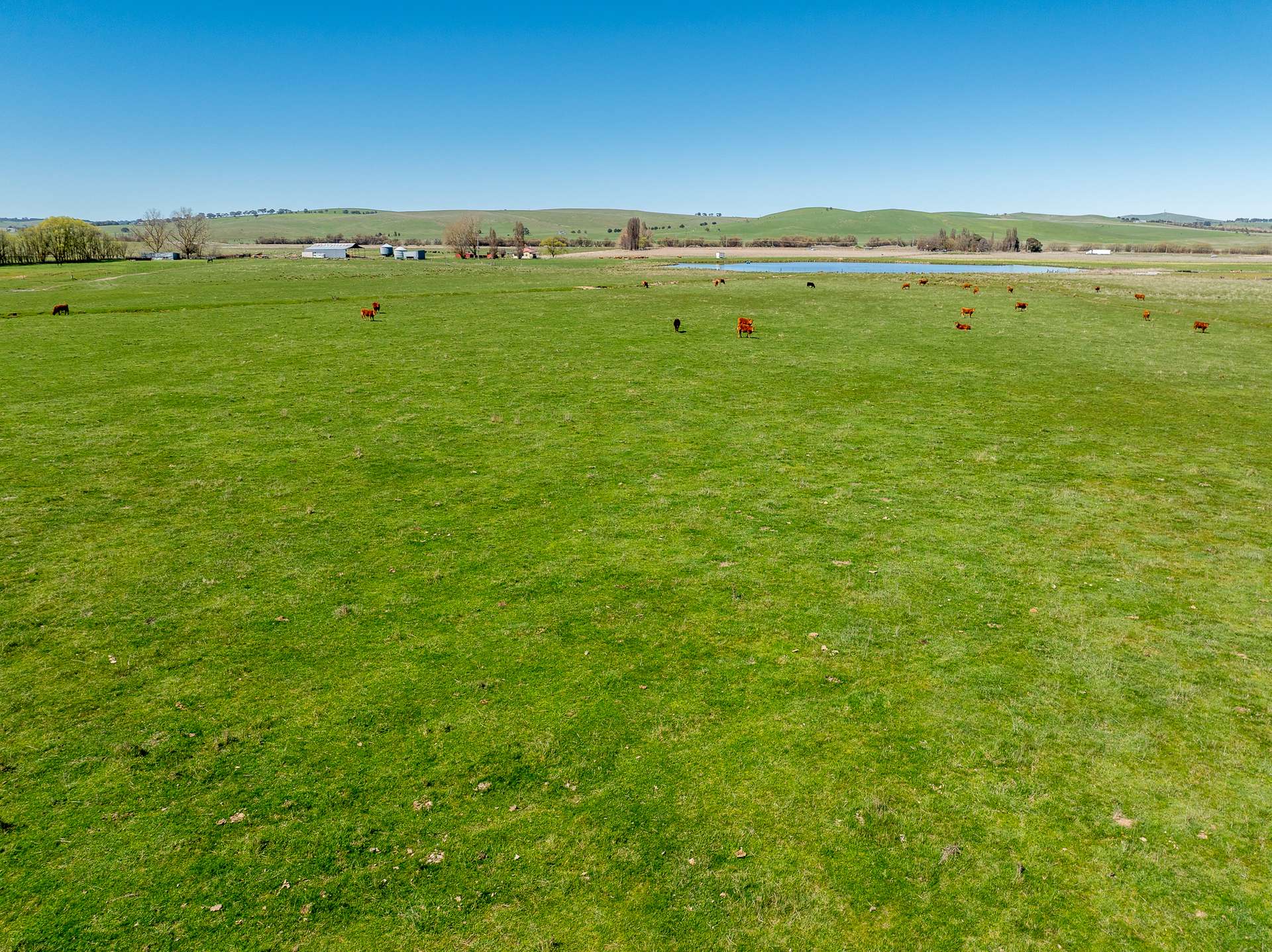 3580 Mid Western Highway, Blayney For Sale by Farmbuy.com - image 24