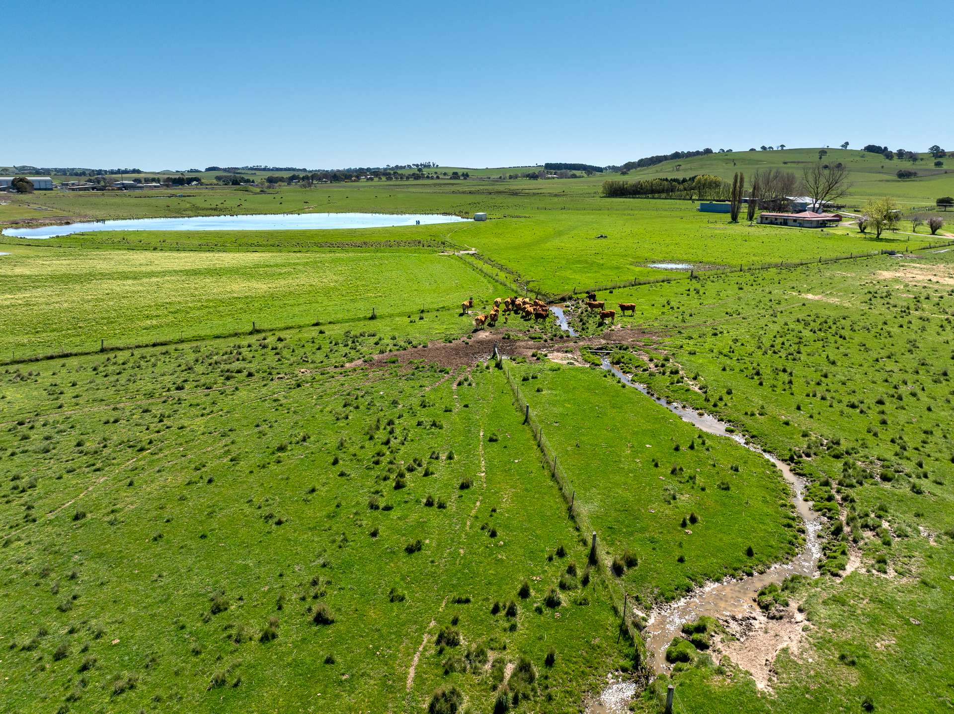 3580 Mid Western Highway, Blayney For Sale by Farmbuy.com - image 10