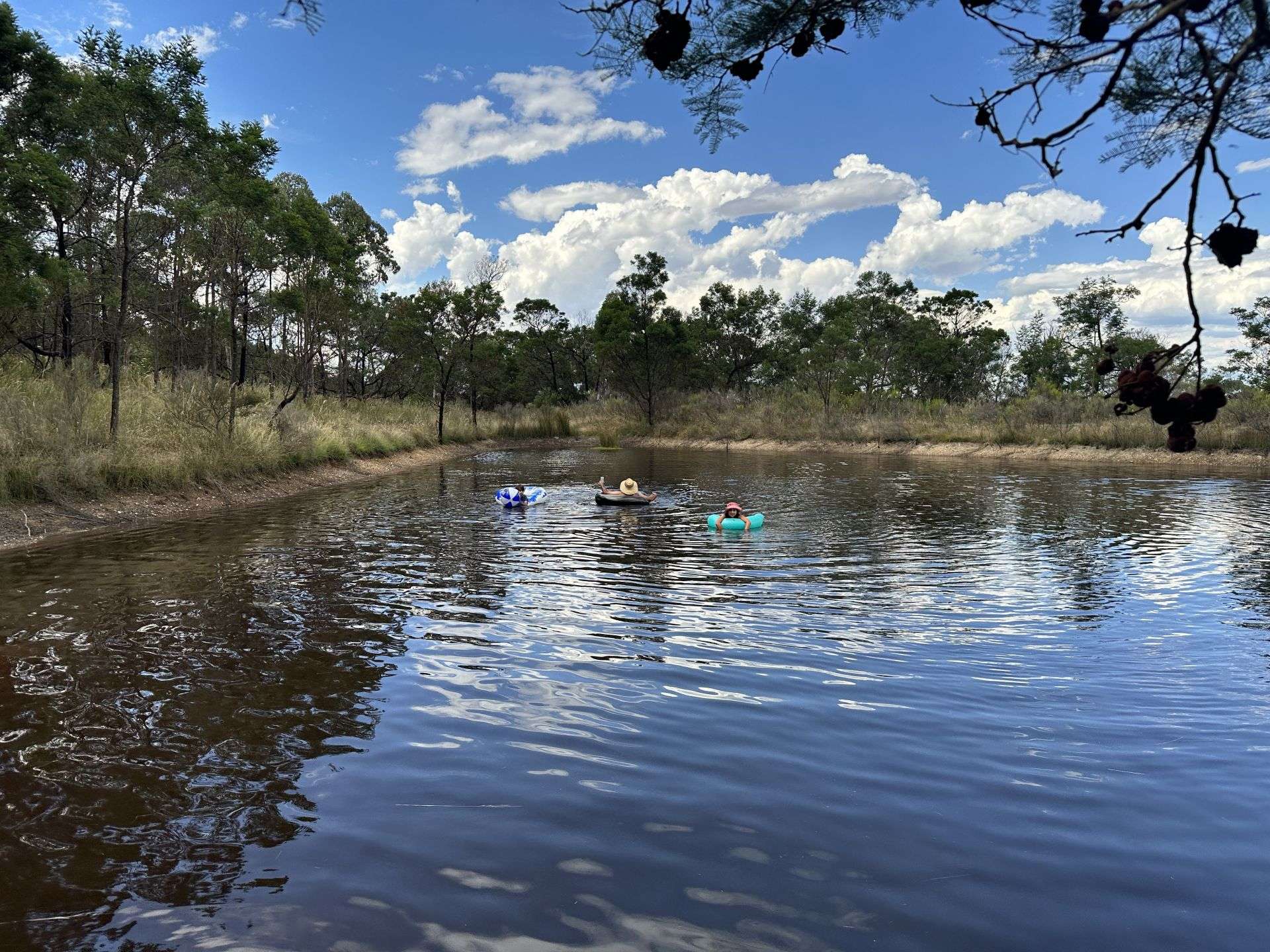 359 Forest Siding Road, Middle Arm For Sale by Farmbuy.com - image 32