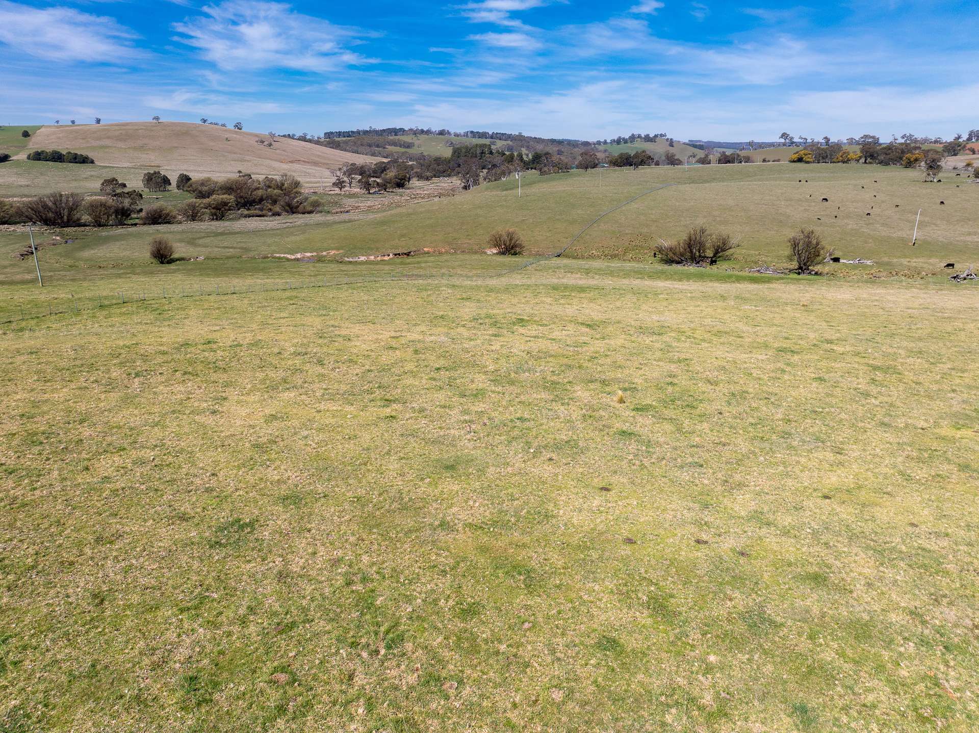 Lot 2, 1660 Edith Road, Oberon Sold by Farmbuy.com - image 7