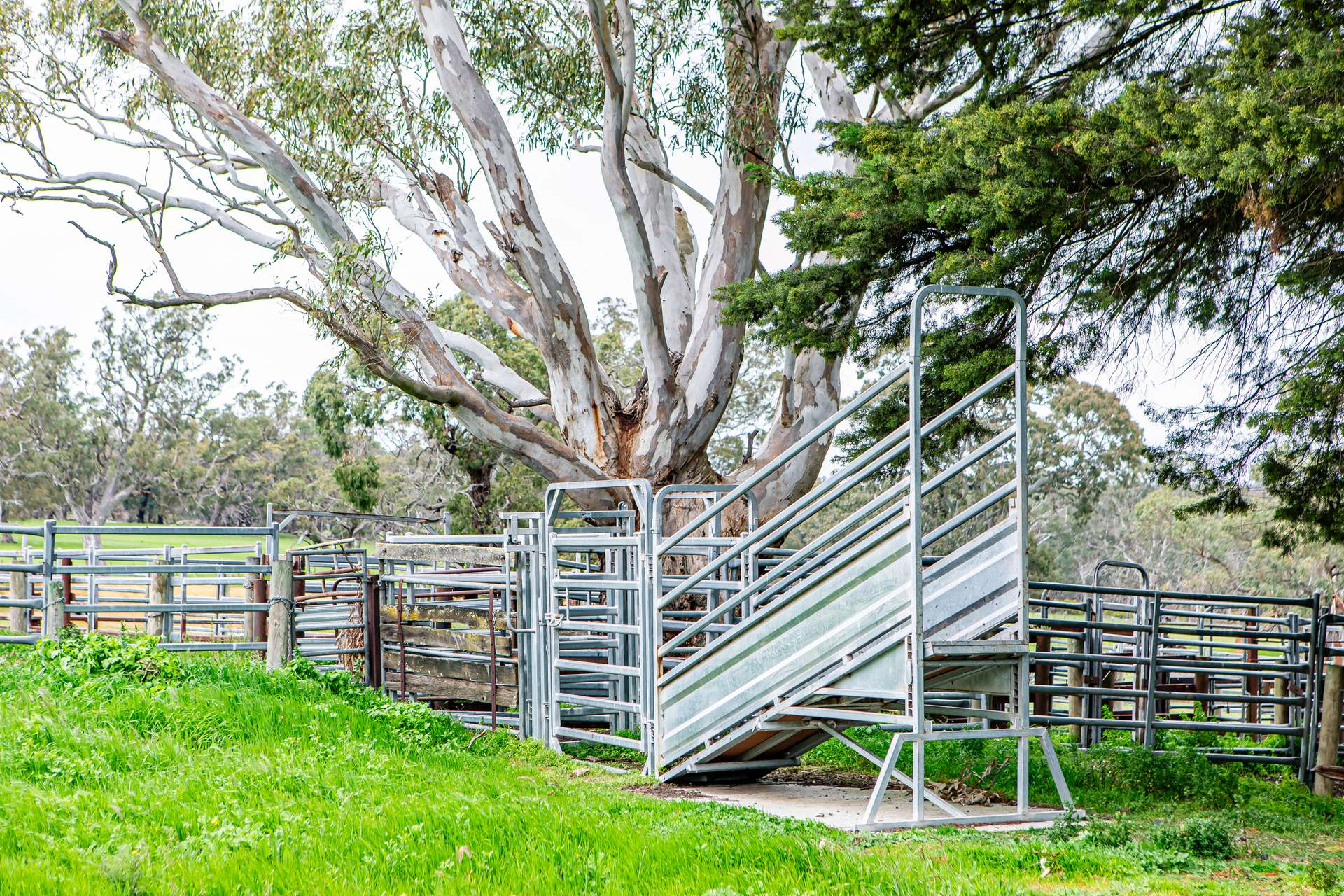 3155 Casterton-Edenhope Road, Chetwynd For Sale by Farmbuy.com - image 12