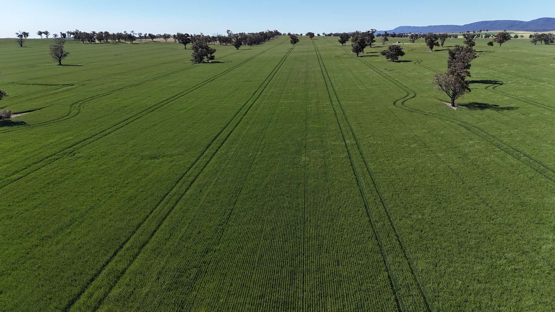 861 Kadina Road, Parkes For Sale by Farmbuy.com - image 4