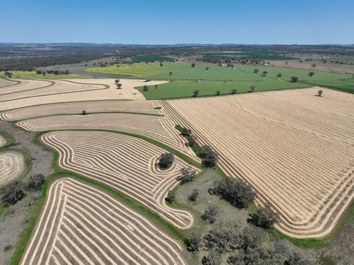 Farm Sold - NSW - Graman - 2360 - GRAZING AND DRYLAND CROPPING AT SCALE 