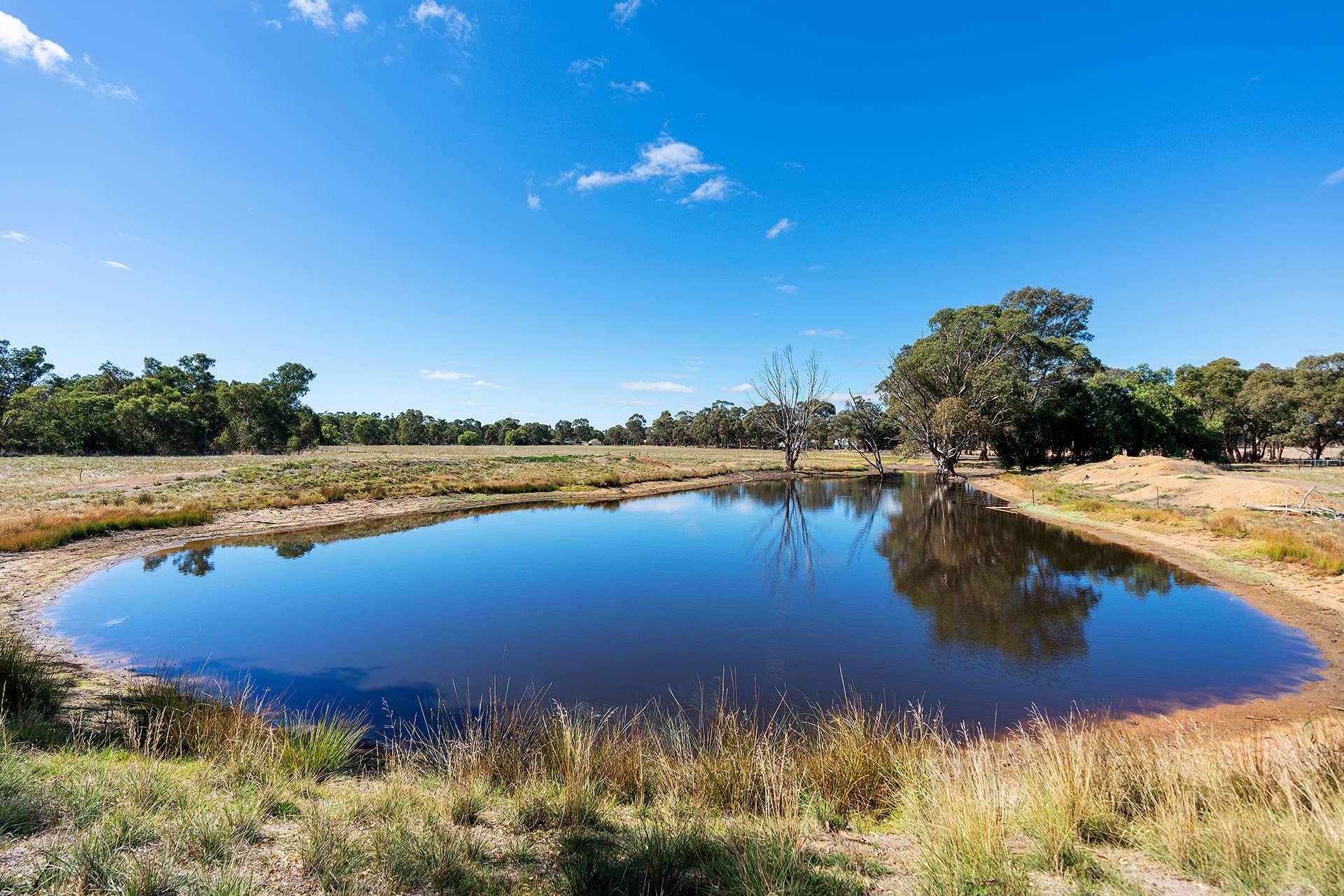 CA 11, 338 Avoca-Bealiba Road, Bealiba Sold by Farmbuy.com - image 5
