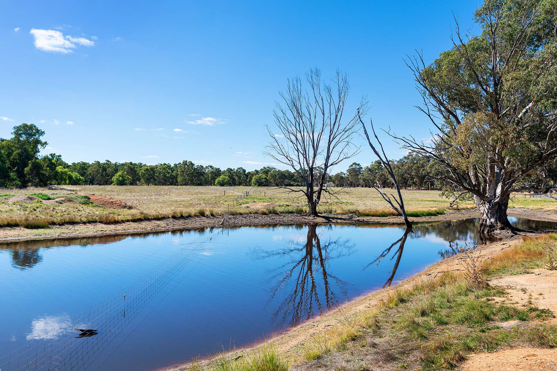 CA 11, 338 Avoca-Bealiba Road, Bealiba Sold by Farmbuy.com - image 4