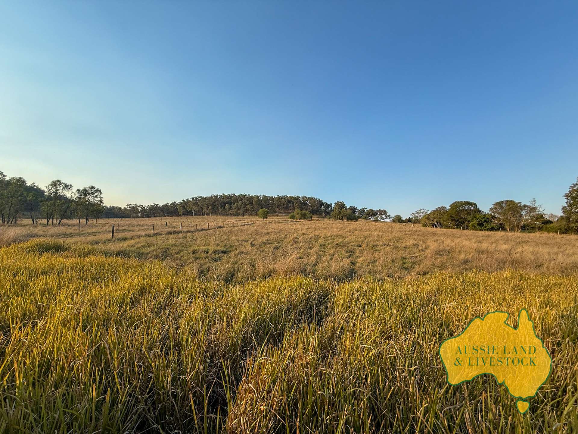 644 KUMBIA ROAD, Ellesmere Sold by Farmbuy.com - image 10