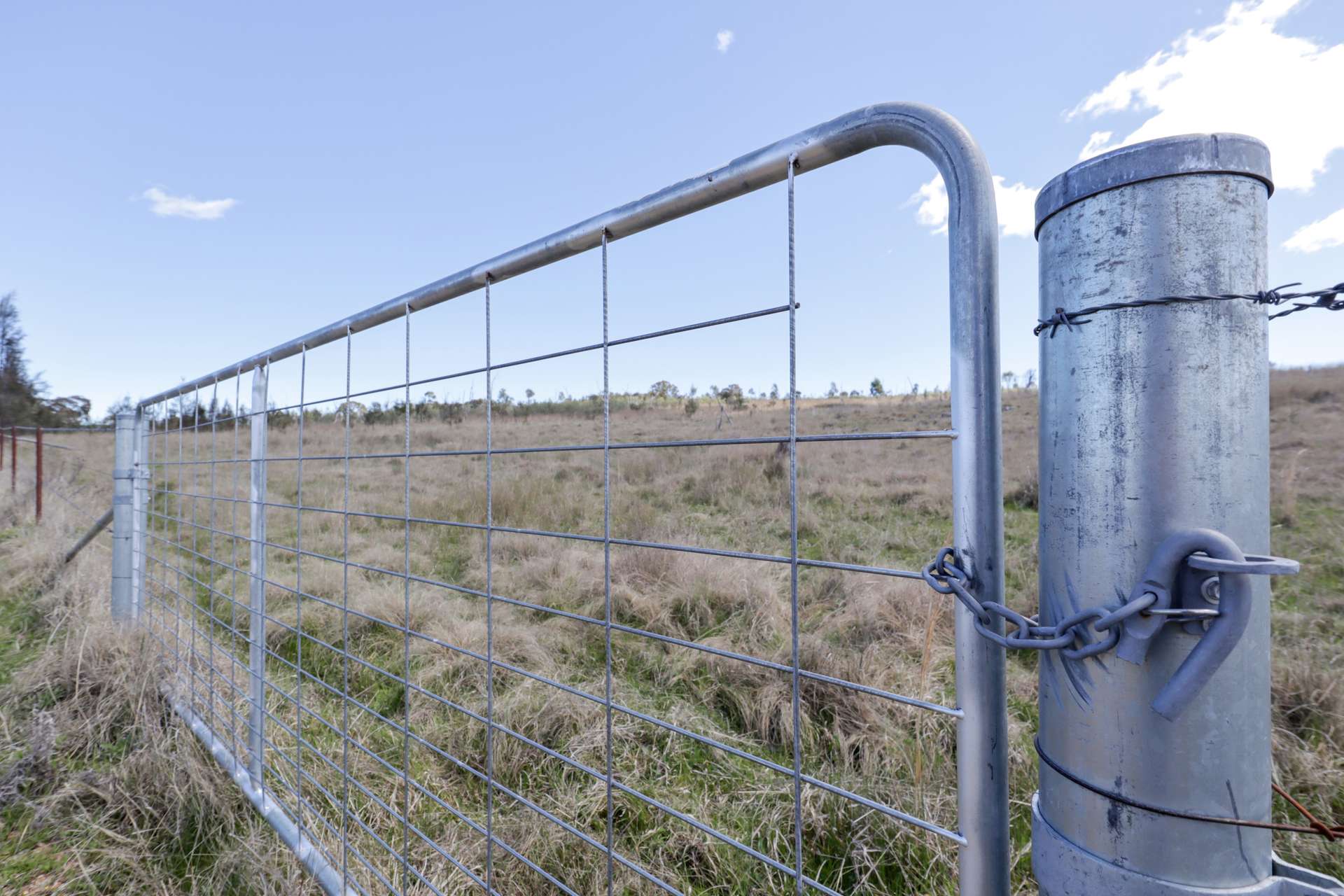 100 Tarban Road, Tenterfield Sold by Farmbuy.com - image 7