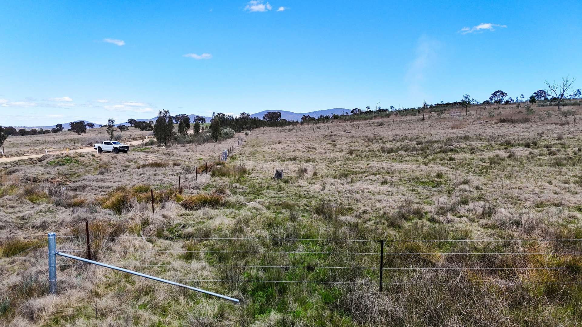 100 Tarban Road, Tenterfield Sold by Farmbuy.com - image 4