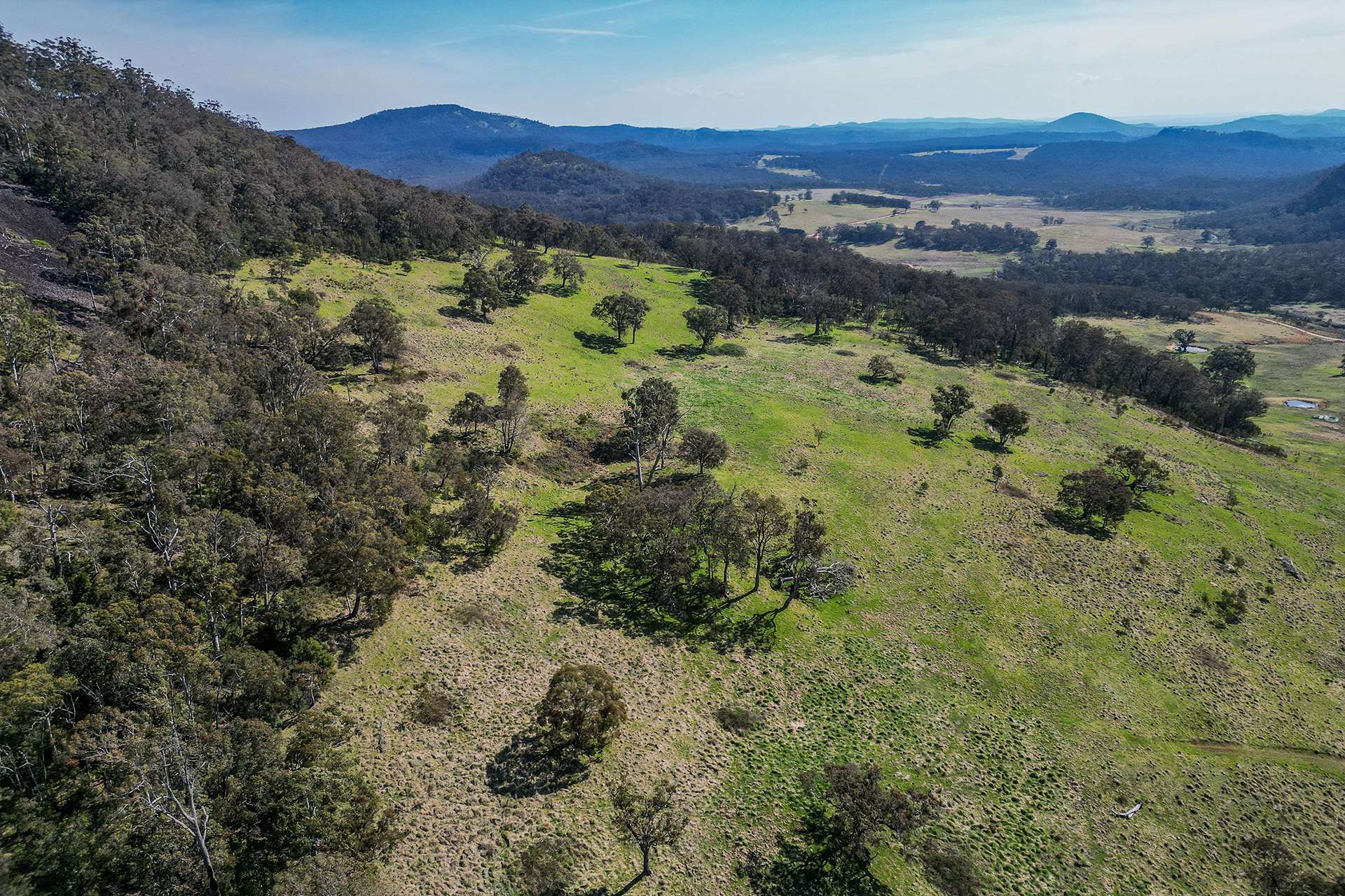 1960 Coricudgy Road, Rylstone Sold by Farmbuy.com - image 4