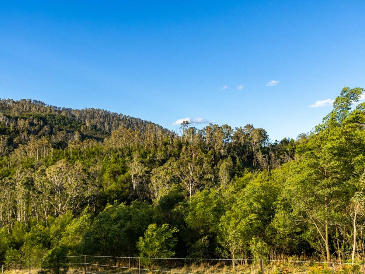 1216 Upper Brogo Road, Brogo For Sale by Farmbuy.com - image 14